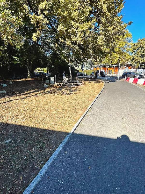 Bordure de chemin après intervention