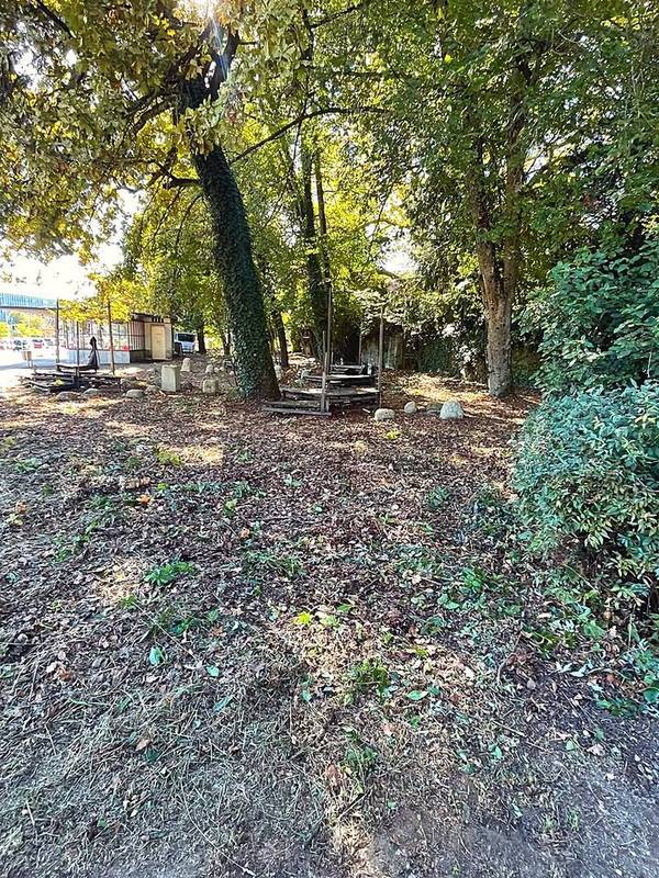 Sous-bois après intervention
