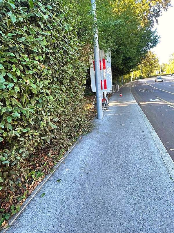 Haie le long du trottoir après intervention