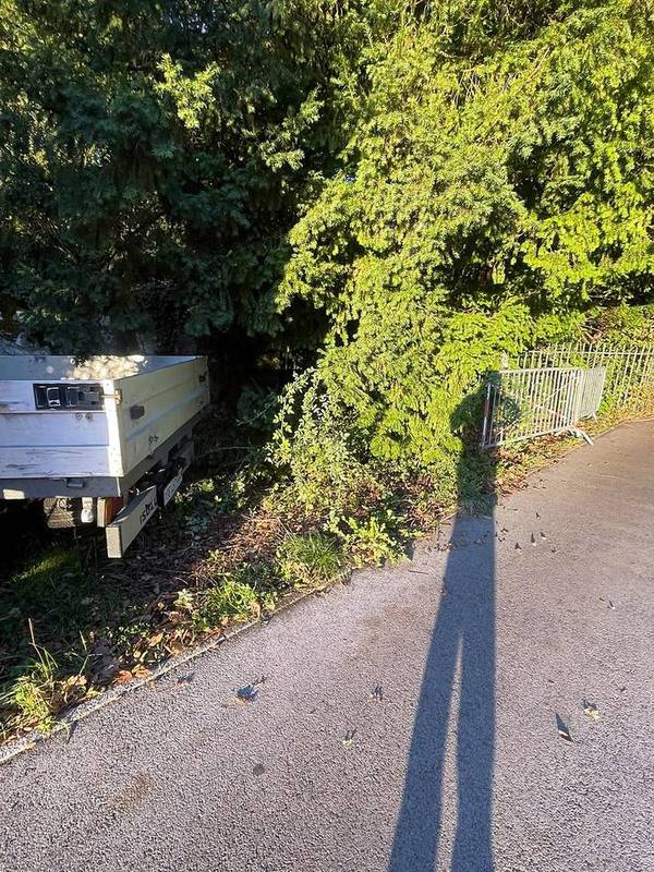 Haie le long du trottoir avant intervention