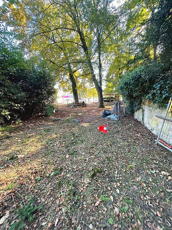 Parcelle arborée après intervention