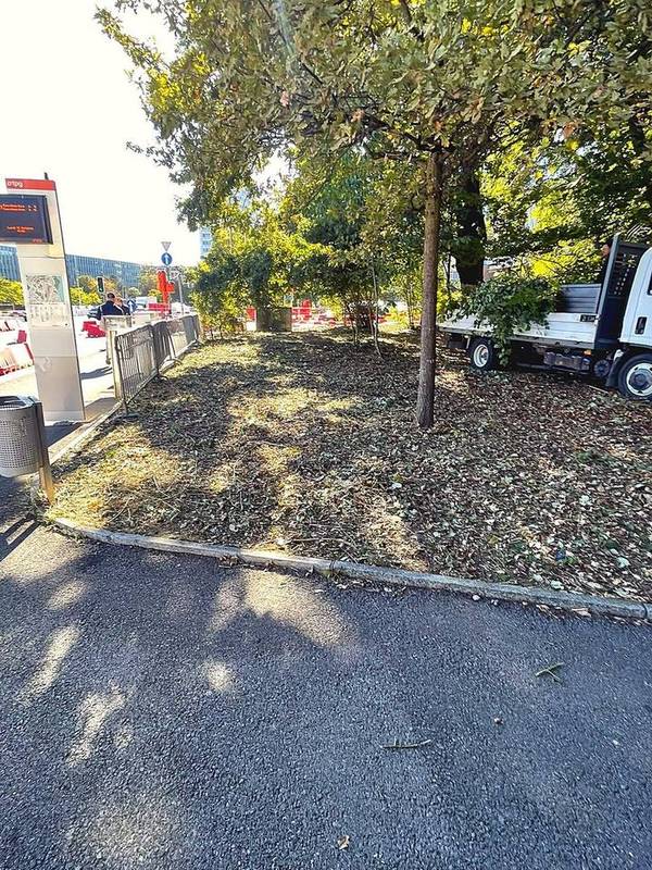 Espace vert en bord de voirie après intervention